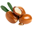 Argan Oil