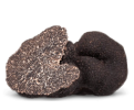 Black Truffle