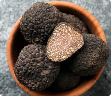 The Richness of Black Truffles